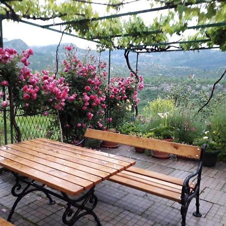 Holiday Home Carevic Gornja Brela 外观 照片